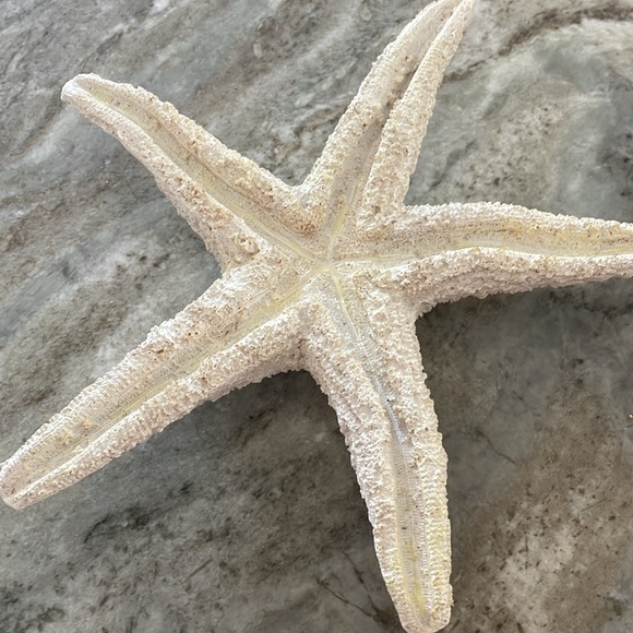 Large 11" Starfish Tealight Holders - Picture 6 of 7